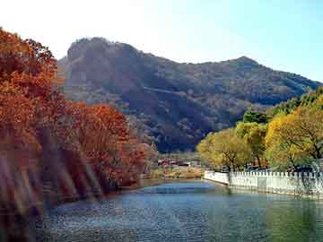 管家婆黑白马报图库，退浆酶